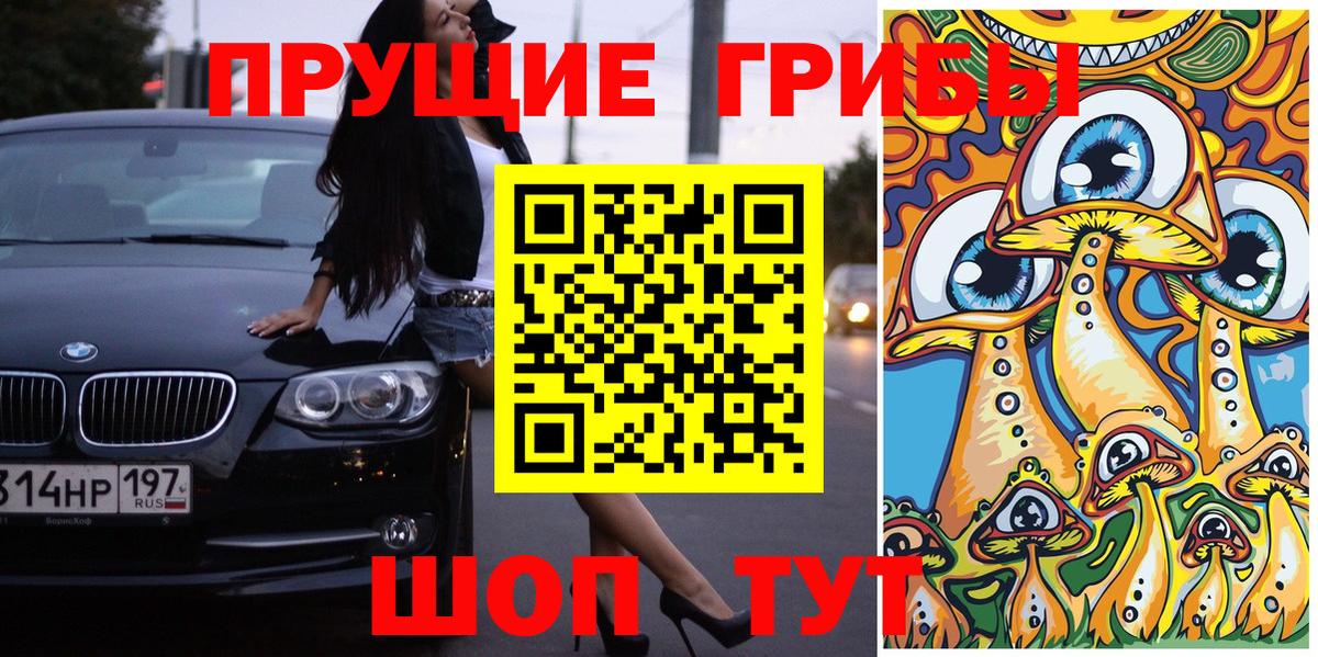 Галлюциногенные грибы Cubensis Фрязино