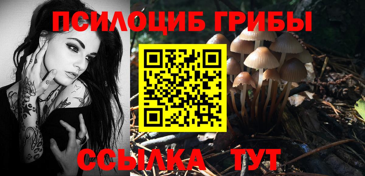 Галлюциногенные грибы GOLDEN TEACHER  Псилоцибиновые грибы Cubensis  Фрязино 