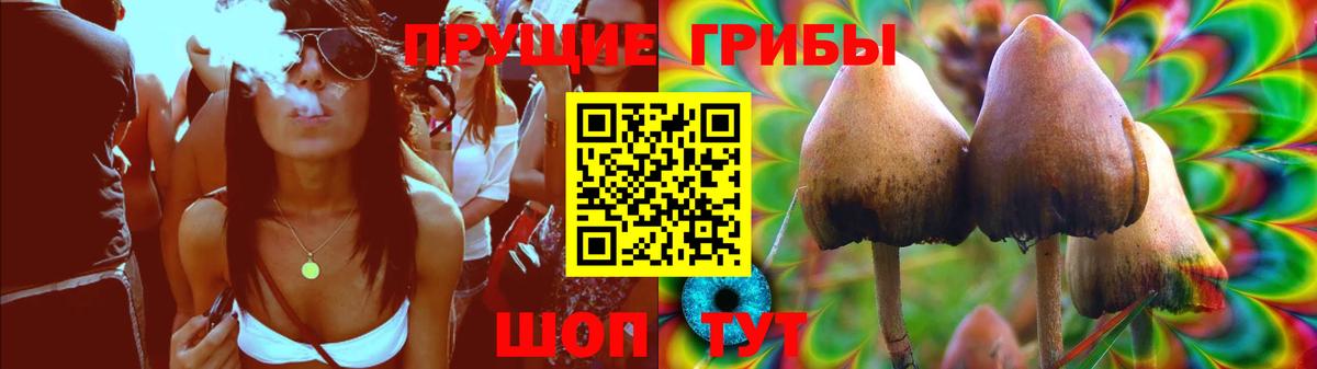 Фрязино  Псилоцибиновые грибы Magic Shrooms  Вход с VPN 